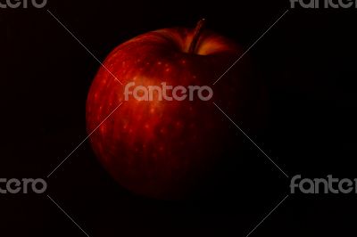 Apple in the dark