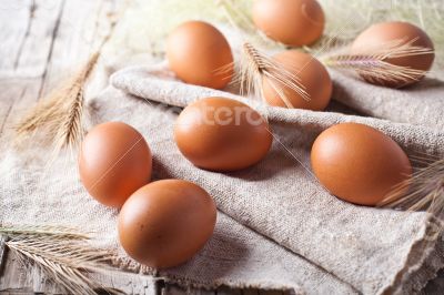  fresh brown eggs and wheat ears 