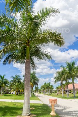 Sunny Florida