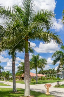 Sunny Florida