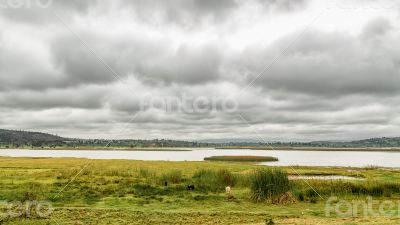 Lake Adele