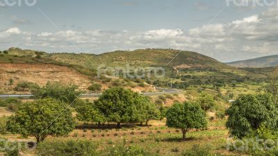 The road from Harar to Jigjiga