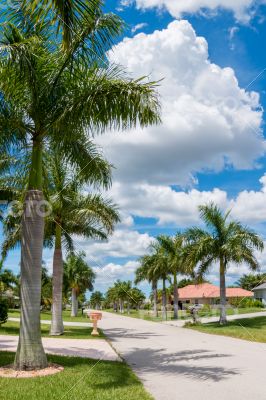 Sunny Florida