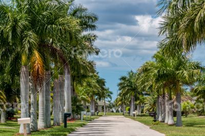 Sunny Florida