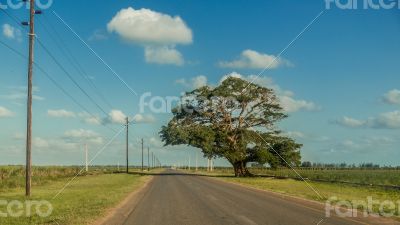 Country road 