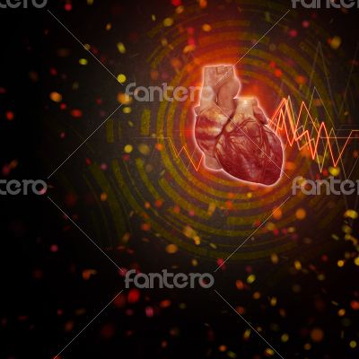 3d render medical illustration of the human heart 