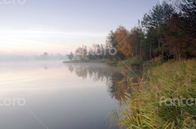 Foggy morning landscape in the autumn park near the lake.