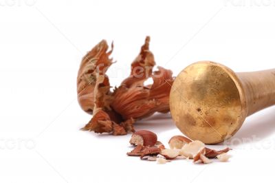 The Hazelnut and in the leaf old metal nutcracker 