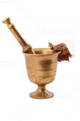 The Hazelnut and in the leaf old metal nutcracker 