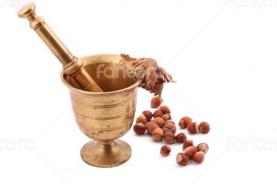The Hazelnut and in the leaf old metal nutcracker