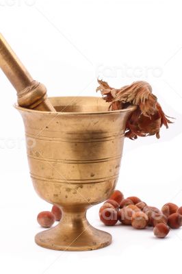 The Hazelnut and in the leaf old metal nutcracker 