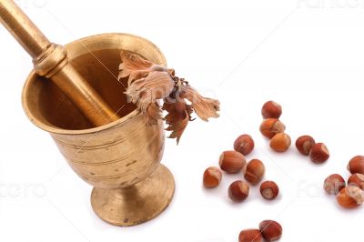 The Hazelnut and in the leaf old metal nutcracker