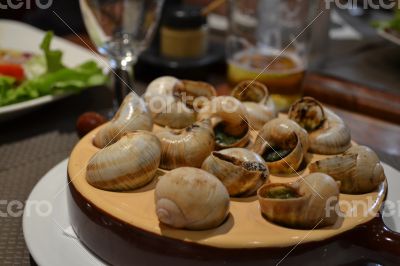 Escargot