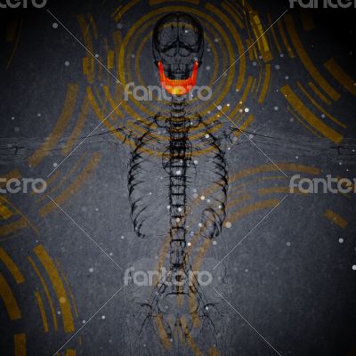 3d render medical illustration of the jaw bone