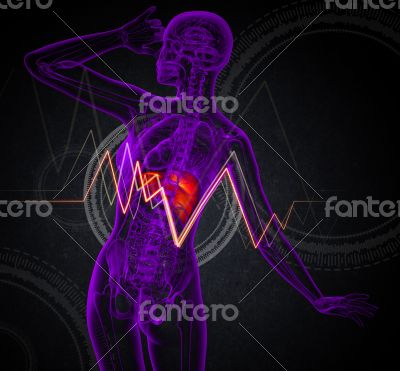 3d render medical illustration of the liver