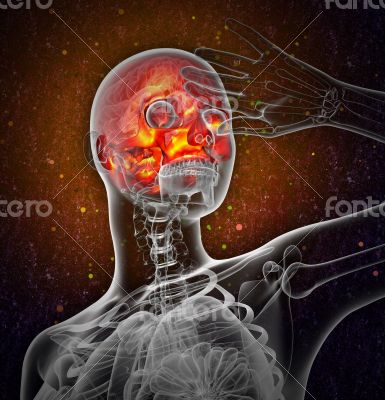 3d render medical illustration of the upper skull 