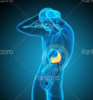 3d render medical illustration of the stomach