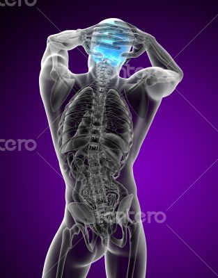 3d render medical illustration of the upper skull 