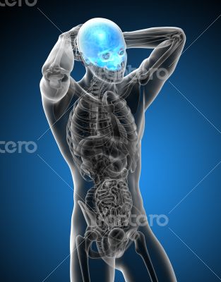 3d render medical illustration of the upper skull 