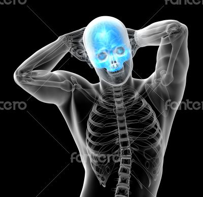 3d render medical illustration of the upper skull 