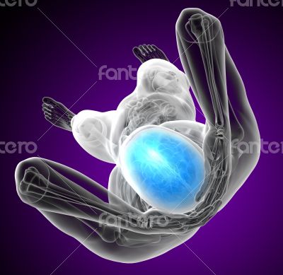 3d render medical illustration of the upper skull 