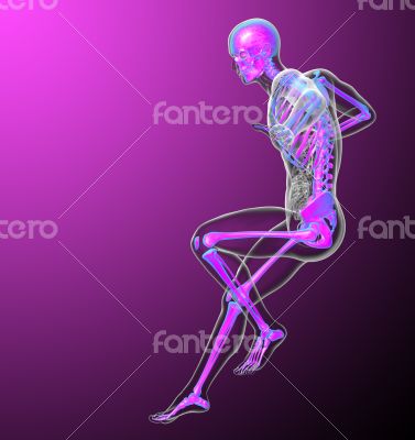 3d render medical illustration of the skeleton 