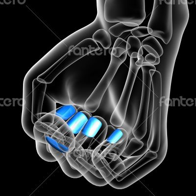 3d render medical illustration of the nail