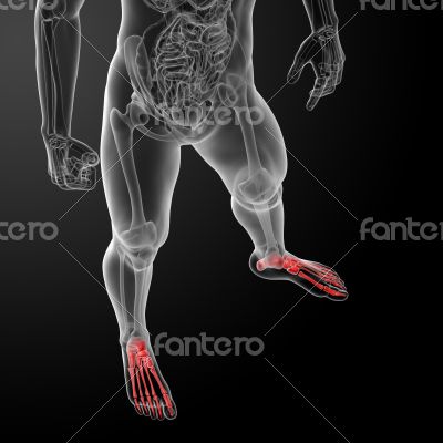 3d render x-ray of foot 