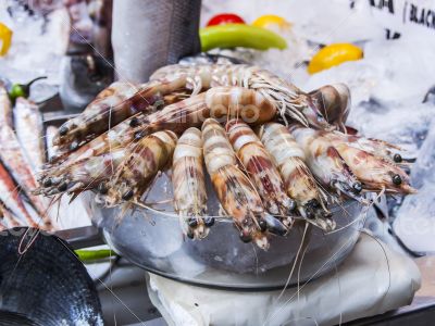Fresh tiger shrimps on a counter