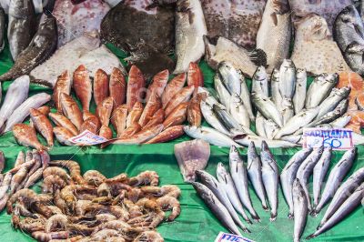 Fresh sea fish on a counter