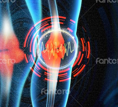 Human knee pain with the anatomy of a skeleton leg