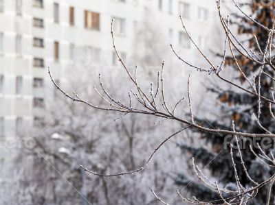 View from the window on the winter city 