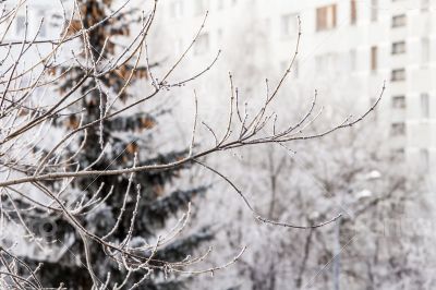 View from the window on the winter city 