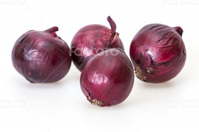 Large bulbs of red onions