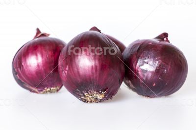 Large bulbs of red onions