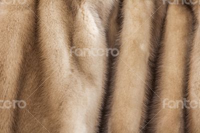  Product from fur of a mink
