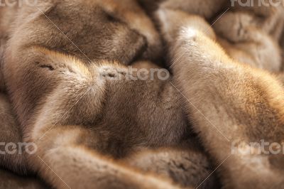  Product from fur of a mink