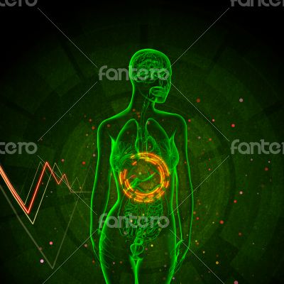 3d render medical illustration of the adrenal 