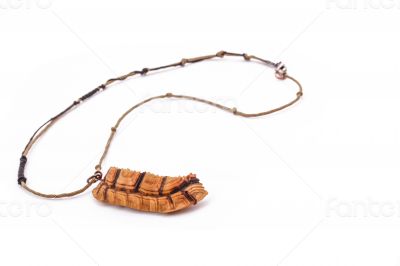 The turtle necklace on the white background
