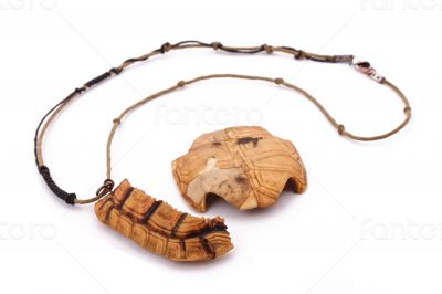 The turtle necklace on the white background