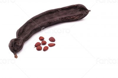 The Ripe Carob on the white background