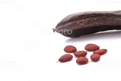 The Ripe Carob on the white background