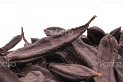 The Ripe Carob on the white background