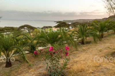 Shores of Langano Lake