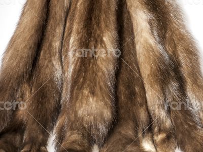 Skins of a sable