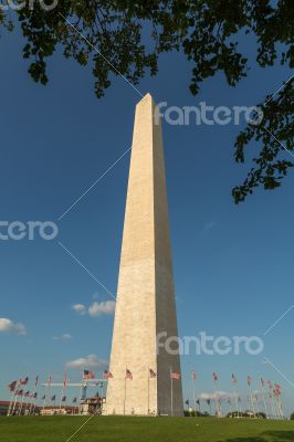 Washington Monument