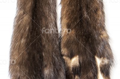 Skins of a sable