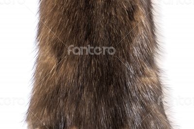 Skins of a sable