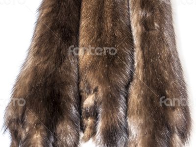 Skins of a sable