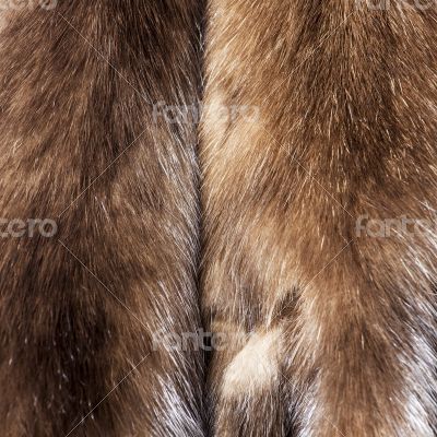 Skins of a sable